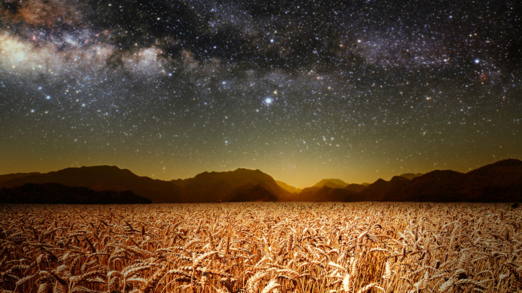 Embrace the Spirituality of the Autumn Equinox Blog Image