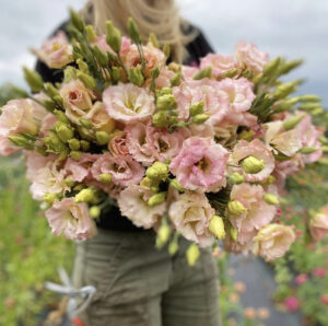 Woman holding a light pink bouquet