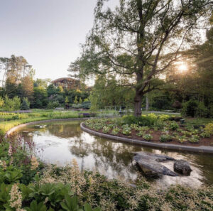 Outdoor garden with stream