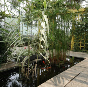 Indoor Mediterranean garden