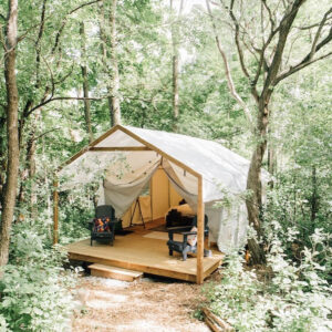 Safari-style tent in woods