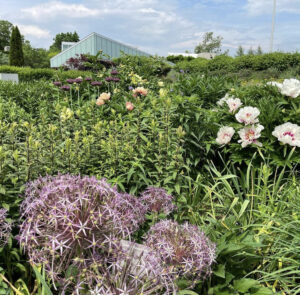 Field with flowers and glass building in the back