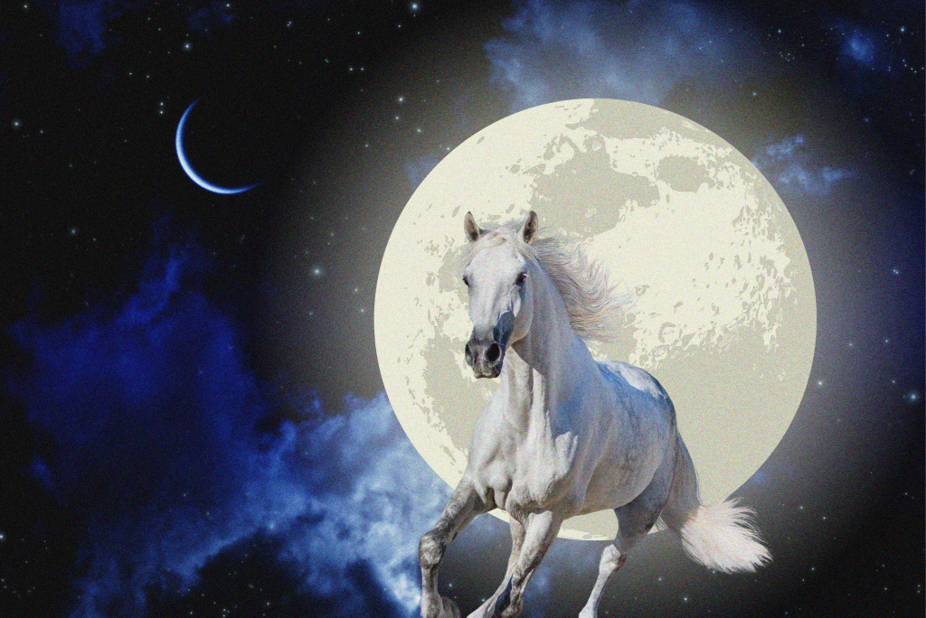 white hose running out of full moon